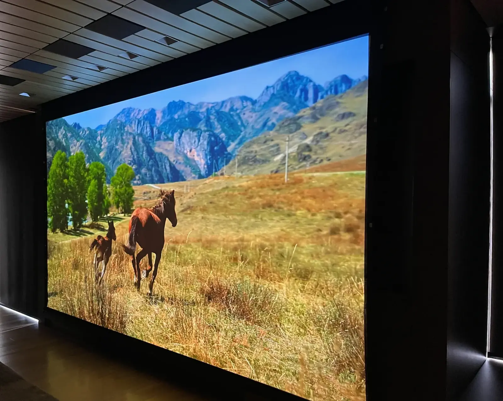 Large motorized projection screen showing horses in a mountain meadow, Mercer Island